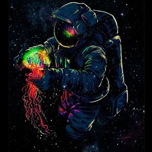 Meet your Posher, Zaid